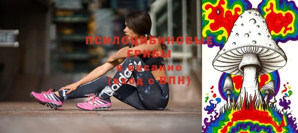 бутират Арсеньев