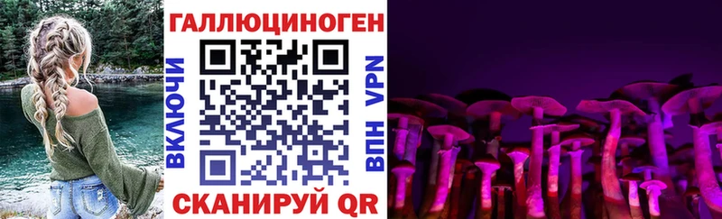 Псилоцибиновые грибы Psilocybine cubensis  купить наркотик  Сухой Лог 