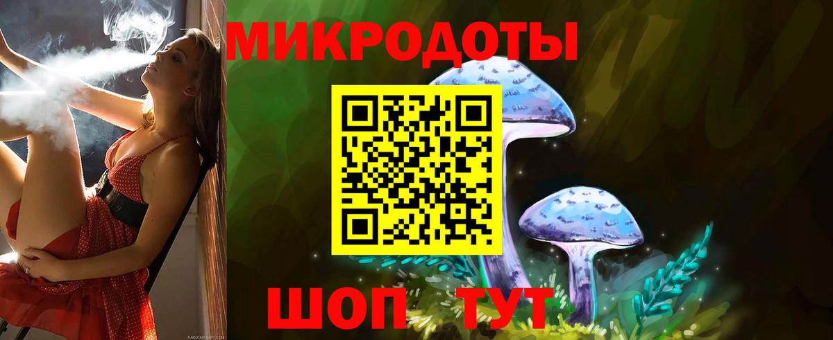Галлюциногенные грибы Psilocybine cubensis Сухой Лог